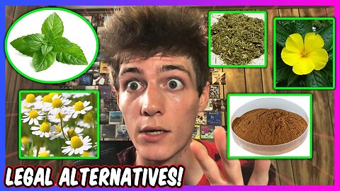 Best Legal Weed Alternatives! 🌿 Smokable Herbs & Herbal Smoke Blends