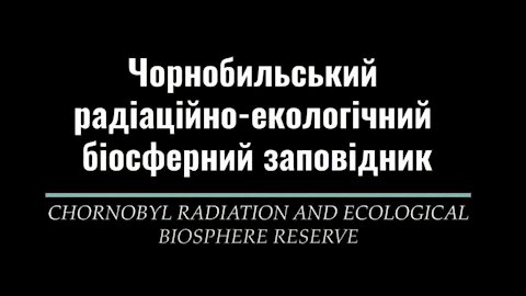 Chernobyl - summer 2021 wildlife and animals without people