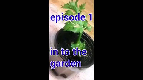 Into the garden episode 1
