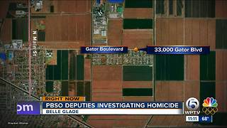 Body found floating in canal in Belle Glade; homicide investigation underway