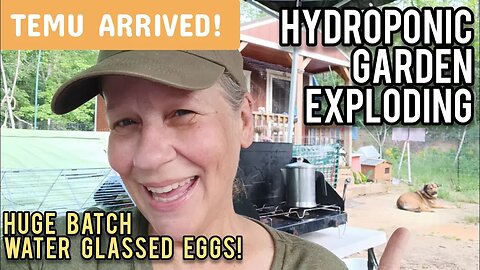 TEMU Arrived! | Hydroponic Garden Exploding| Huge Batch Water Glassed Eggs!