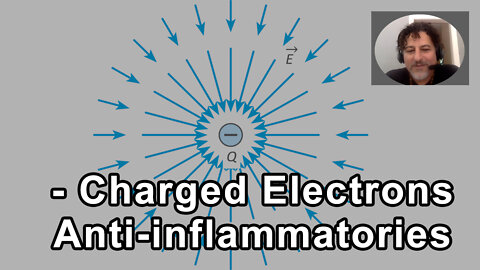 Negatively Charged Electrons Are Really Important As Anti-inflammatories - David Wolfe - Interview