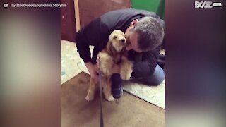 Ce chiot adore qu'on lui gratte le ventre