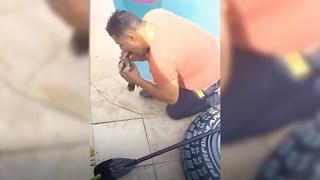 Man Gives CPR To Dying Bird