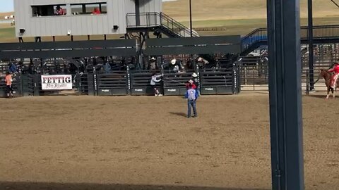 Bronc Ride at Rodeo