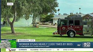 Man stung by nearly 2,000 bees hospitalized in Sun City West