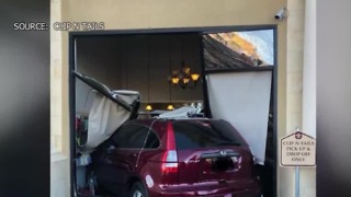 Car crashes into Las Vegas dog groomer business