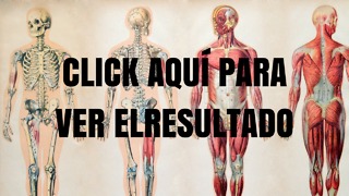 Ponte a Prueba: ¿Conoces El Interior De Tu Cuerpo? -3