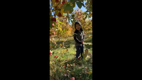 Apple picking with my boi