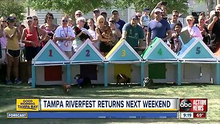 Tampa Riverwalk Festival descends on downtown Tampa May 3-4