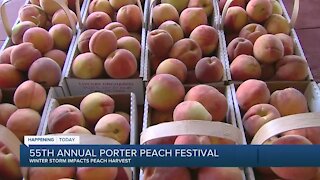 55th annual porter peach festival