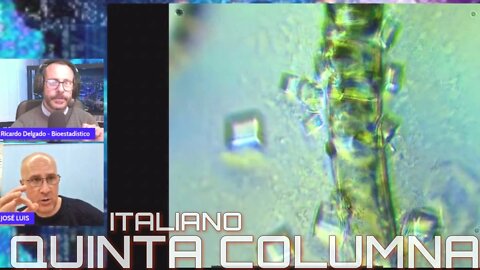 Parassiti & Tentacoli-Filamenti-Morgellons nelle fiale VAX Dr.Delgado Dr.Sevillano Quinta Columna italiano 2022