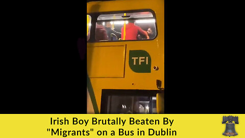 Irish Boy Brutally Beaten By "Migrants" on a Bus in Dublin
