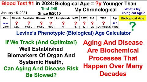 Blood Test #1 in 2024: What's My Biological Age?