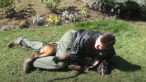 How to defend against a dog. Self defense against dog attack