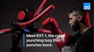 Meet RXT-1: The Robot Punching Bag That Punches Back