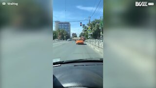 Pedestrian walks over car in crosswalk