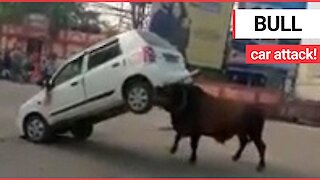 This is the moment an angry bull was filmed as it attacked a CAR