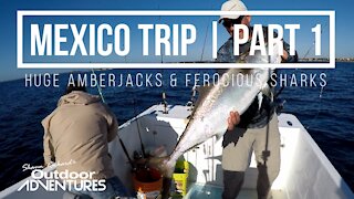 Big Amberjacks with JLC Fishing | Fishing Playa Del Carmen, Mexico | Part 1
