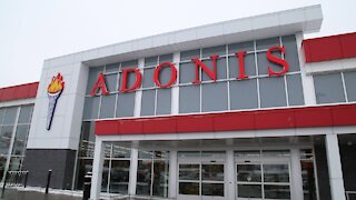 Le tout premier marché Adonis de 13M $ à Québec ouvre enfin ses portes