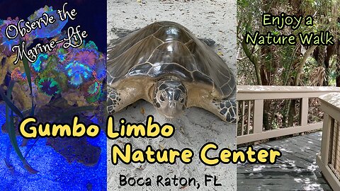 Exploring Marine Creatures at Gumbo Limbo Nature Center in Boca Raton, FL