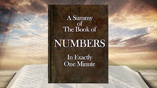 The Minute Bible - Numbers In One Minute