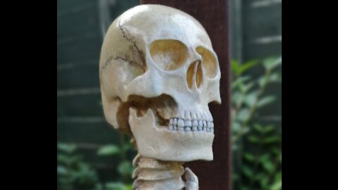 Carving a Skull Walking stick Episode 1