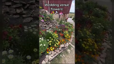 Stunning venue landscape at a unique barn wedding! #barnwedding #overthevines #hiddengems