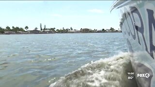 Cape Coral Fishing Charters share water quality observations seen on Matlacha Pass