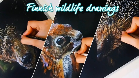 Stunning time lapse of Finnish wildlife drawings