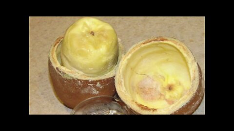Top 10 Fruits You've Never Heard Of Part 2