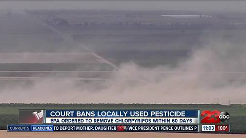 Court bans locally used pesticide, Chlorpyrifos