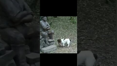 The dog asking statue to play with him / cute funny baby dog