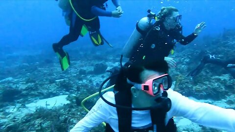 Cozumel Dive 5 Cedral Wall