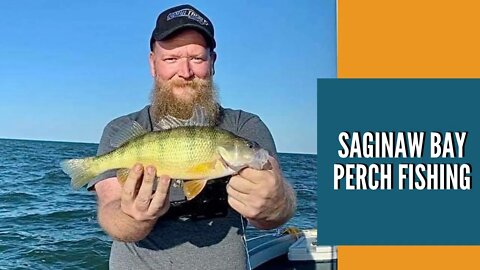 Saginaw Bay Perch Fishing / Lake Huron Fishing / Great Lakes Fishing Michigan / How To Catch Perch