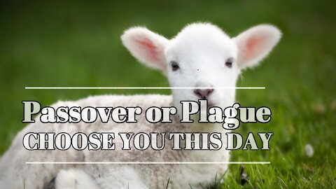 Passover or Plague - choose you this day!