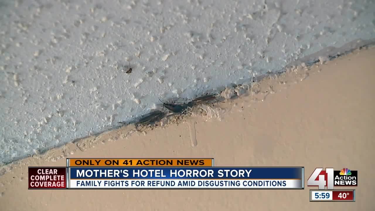 'Raining roaches': Woman upset with conditions at Blue Springs hotel