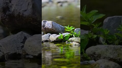 Pebble brook - for sleep, meditation,#calm#sleepsounds#nature #sleepmusic#rainsound#whitenoise#focus