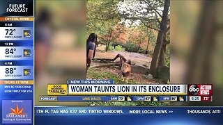 Video: Woman climbs inside lion exhibit at The Bronx Zoo