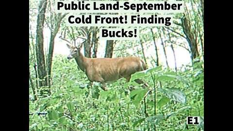 1-Shot Deer Hunting 2022: Public Land! September Cold Front! Finding Bucks!