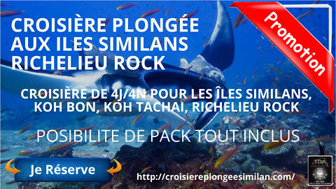 🐋Croisière plongée aux iles Similans a #Richelieu Rock
