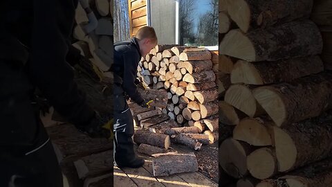 Restocking the firewood!🪵🔥 #HomeFreeAlaska #OffGrid #Alaska