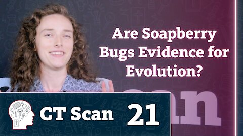 Are Soapberry Bugs Evidence for Evolution? (CT Scan, Episode 21)