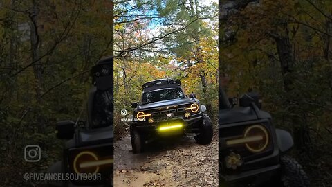 Bronco Raptor Getting Wet amongst the Seasonal Colors #shorts #offroad