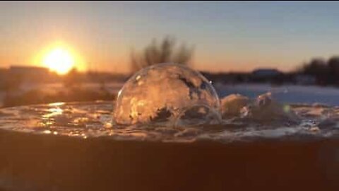 Frozen bubbles look like snow globes!