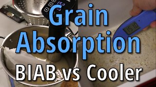 Grain Absorption Rates: Cooler Mash Tun Versus BIAB (An Experiment)