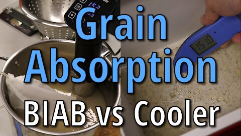 Grain Absorption Rates: Cooler Mash Tun Versus BIAB (An Experiment)