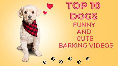 Top 10 dog barking videos- Dog barking sounds- Dogs funny videos-