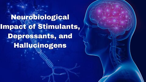 Neurobiological Impact of Stimulants Depressants and Hallucinogens
