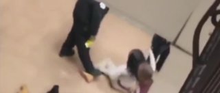 Teen tased by officers at school faces felony charges